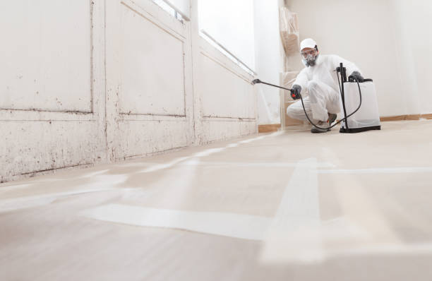 24/7 Emergency Crawl Space Mold Remediation experts in Burlington, CO