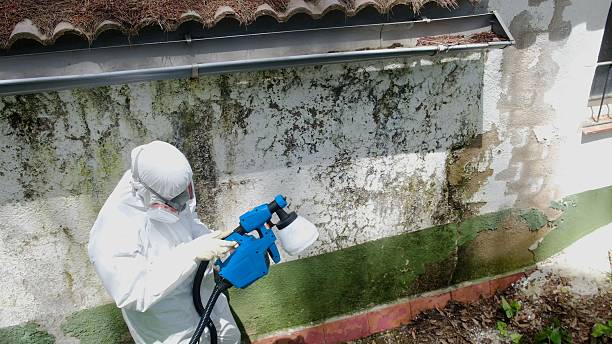 Top rated local Crawl Space Mold Remediation specialists in Burlington, CO
